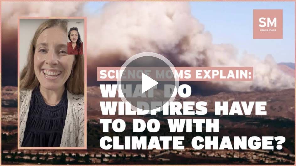 What do wildfires have to do with climate change?